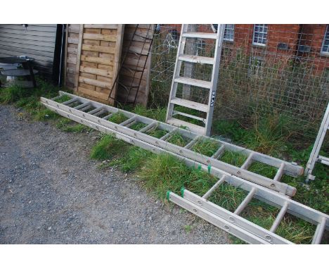 A 12 rung extendable ladder.