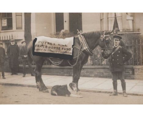 PUTNEY. Four albums containing approximately 265 postcards of Putney, London, including photographic postcards titled ‘Putney