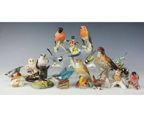 A selection of six Royal Worcester birds, comprising Blue Tits, Kingfisher, Nuthatch, Blue Finch, Thrush, Goldfinch, along wi