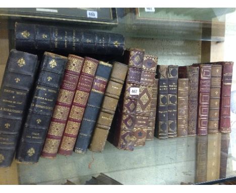 A shelf of 19th century French leather bound books.