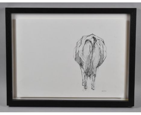 A Framed Sketch of the Rear End of a Cow, by Sally Newton, 40x29cm 