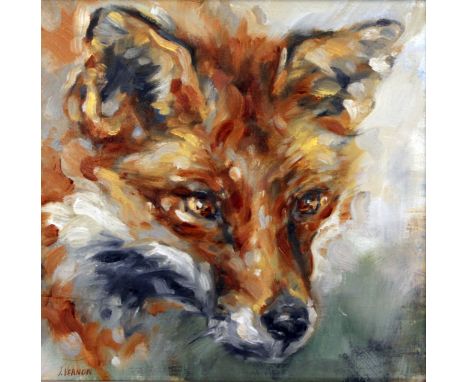 Julie Vernon (b1964), fox portrait, oil on canvas, 23cm x 23cm, signed, modern white frame.