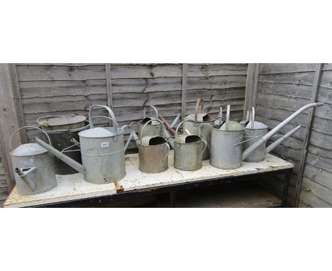 Collection of vintage watering cans