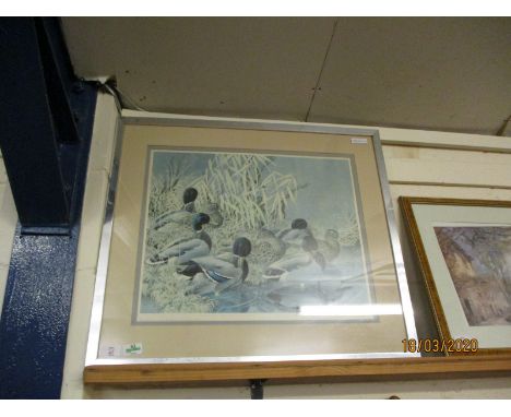 LIMITED EDITION PRINT SIGNED IN PENCIL BY THE ARTIST DEPICTING WATERFOWL 