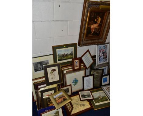 PAINTINGS AND PRINTS, to include two watercolour botanical studies with indistinct monogramme, framed, largest size approxima