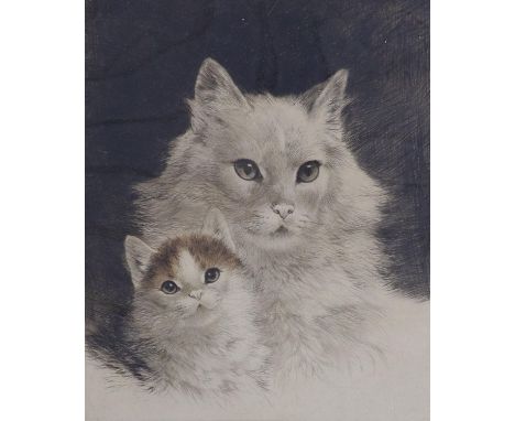 Kurt Meyer-Eberhardt (1895-1977), coloured etching, Cat and kitten, signed in pencil, overall 40 x 31cm