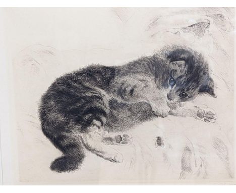 Kurt Meyer Eberhardt (1895-1977), drypoint etching, Kitten at play, signed in pencil, 23 x 28cm