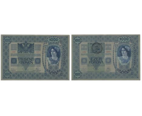 REGIONAL BUKOVINA, TRANSYLVANIA AND BANAT OVERPRINT ON AUSTRIAN AND HUNGARIAN NOTES TREASURY - 1919 FIRST PROVISIONNAL ISSUES
