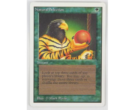 Magic The Gathering - Natural Selection - Unlimited (1993). This card is in Excellent condition.