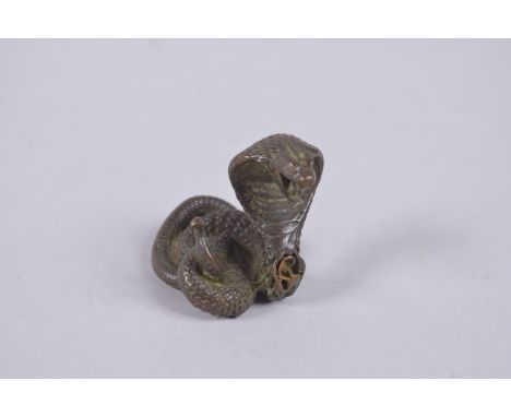 A BRONZE OKIMONO OF A SNAKE.