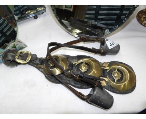 A Victorian Martingale with 3 brasses and one other item