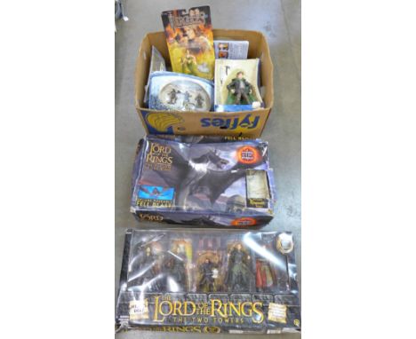 A collection of Lord of The Rings figures, boxed and one She-Demon figure from Hercules
