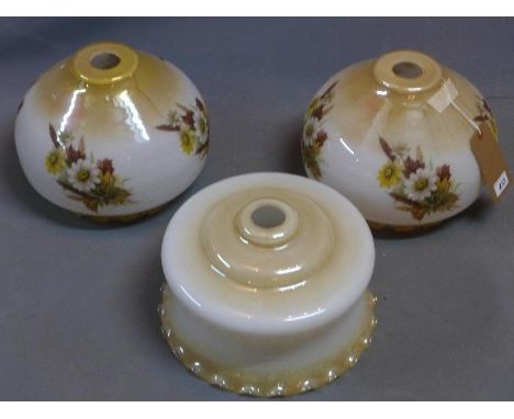 A pair of early 20th century glass light shades with floral decoration together with one other. 