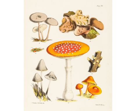 Mushrooms.- Price (Sarah) Illustrations of the Fungi of our fields and woods, 2 vol. comprising first and second series, firs