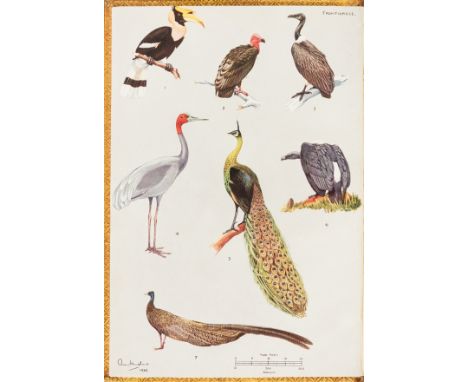 NO RESERVE Birds.- Smythies (Bertram E.) Birds of Burma, first edition, frontispiece and 30 colour plates with captioned tiss