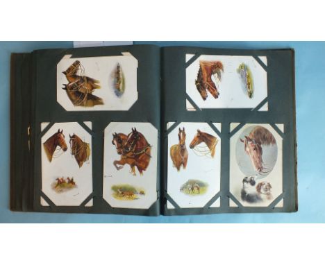 An album of 139 postcards of animals and birds, including hunting.