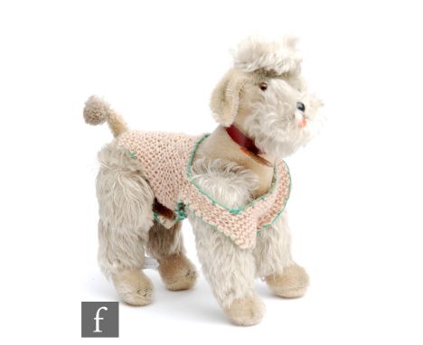 A Steiff Snobby poodle, white mohair dog with brown and black glass eyes, plastic nose, felt tongue and red collar with tag, 