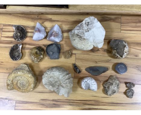 A collection of ammonites and mollusc fossil specimens and they split quartz geode, the largest 21 cm across**CONDITION REPOR