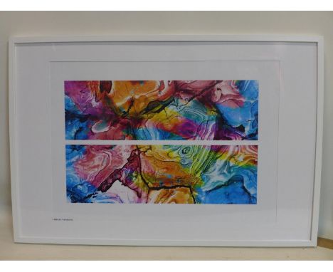 A multicoloured diptych photographic print, from Studio Bezalel, 49 x 68cm 