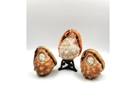 An Italian carved conch shell lamp on a patinated brass stand, along with two other carved cameo conch shells with male and f