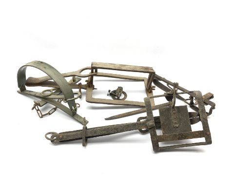 Five various vintage gin traps.  These are sold for ornamental purposes only as their use is illegal - Condition Report 