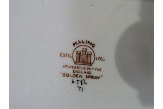 spray maling spray maling