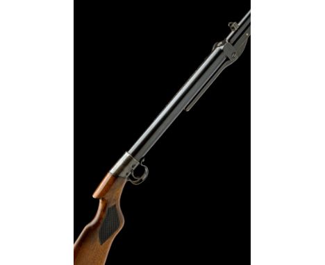 AN UNUSUAL .177 BSA 'CLUB SPECIAL' UNDER-LEVER AIR-RIFLE, serial no. CS19659, for 1924, with blued 19 1/4in. barrel, dove-tai