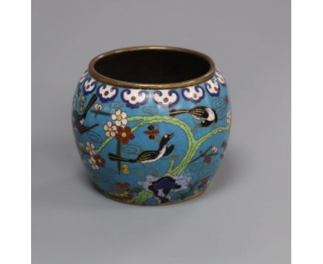 A Chinese cloisonne enamel water pot, Qing dynasty height 6cm