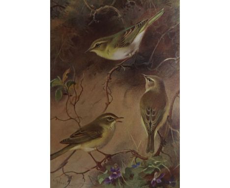 My Scottish Sketch Book by Lionel Edwards, together with four vols of British Birds by Archibald Thorburn
