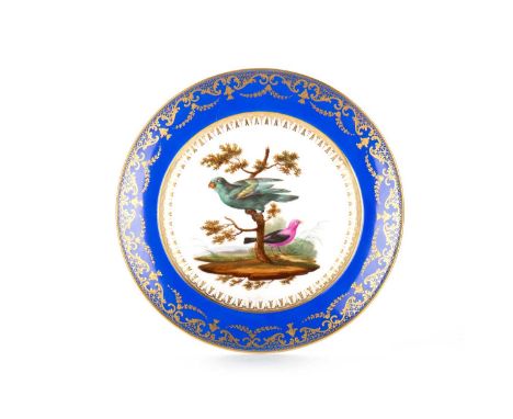 PAIR OF LATE 19TH CENTURY CIRCULAR CABINET PLATES, OF 'SEVRES' DESIGN the centre painted with exotic birds within a blue and 