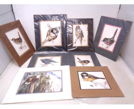 Seven David J. Nicholls watercolour studies of birds in mounts together with a further Sue Coleman print : American eagle in 
