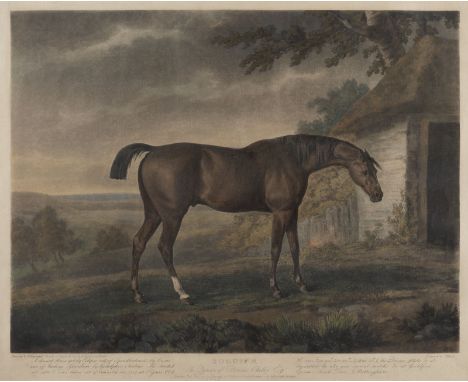 SAMUEL ALKEN I1756 London - 1815 ebd.'SOLDIER - THE PROPERTY OF DENNIS OKELLY ESQUR.' (NACH GEORGE GARRARD - 1793) Farbaquati