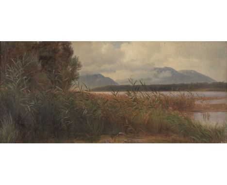 PAUL WEBER1823 Darmstadt - 1916 MünchenStudie einer Uferlandschaft Öl auf Leinwand (maroufl. auf Platte). SM 25 x 54 cm (R. 4
