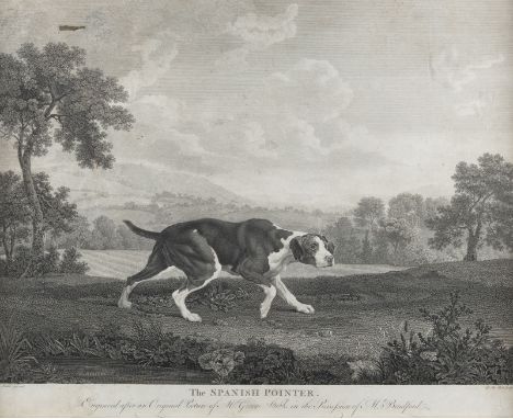 WILLIAM WOOLLETT1735 Maidstone - 1785 London'THE SPANISH POINTER' NACH GEORGE STUBBS (UM 1768) Kupferstich auf Papier. SM 44 