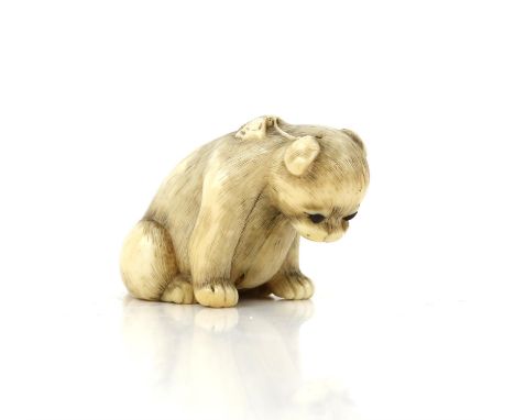 Early 20th century Japanese carved ivory netsuke in the form of a bear cub with a butterfly on it's back, 3cm high, 5.5cm lon