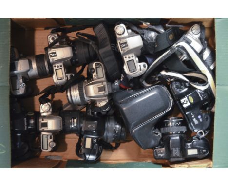 A Tray of SLR Cameras, manufacturers include Pentax, Minolta and Canon