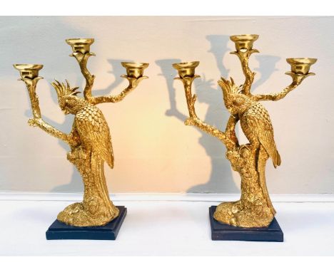 PARROT CANDELABRA, a pair, 47cm high, 33cm wide, 14cm deep, each three branch gilt finish. (2) 