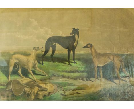 After McGahey, 'The Celebrated Greyhounds', print, framed, 44cm by 63cm