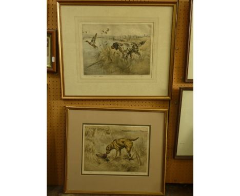 A pair of signed coloured limited edition etchings by Henry Wilkinson, one showing an English setter and the other a golden r