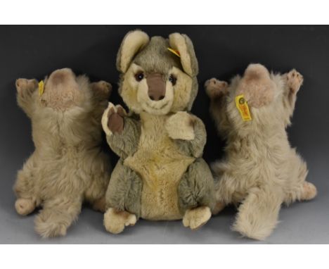 Steiff Stuffed Toys - Cozy Koala Bear, yellow tag, No 5358/27;  others a pair Molly Woodchuck Lying, both yellow tags, No 034