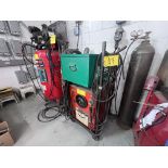 LINCOLN ELECTRIC IDEALARC 250 WELDER, S/N 25246 W/ CABLES