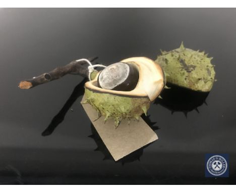A painted ceramic conker in husk CONDITION REPORT: One piece of the husk has a fine firing crack running part of the way thro