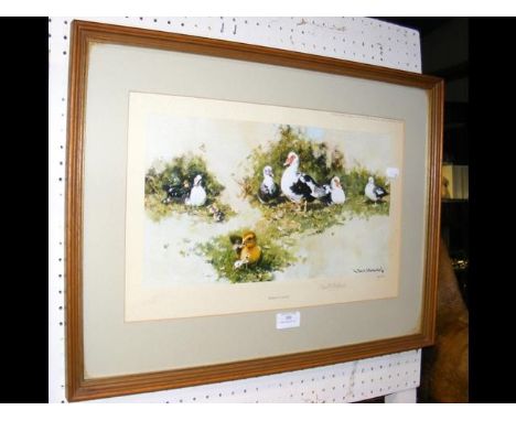 A Limited Edition DAVID SHEPHERD print of Muscovy Ducks 