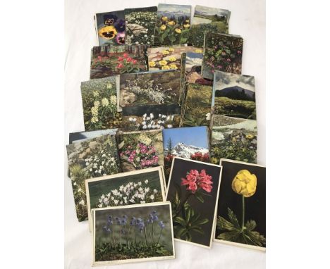 Approx. 180 vintage colour postcards of flowers.  