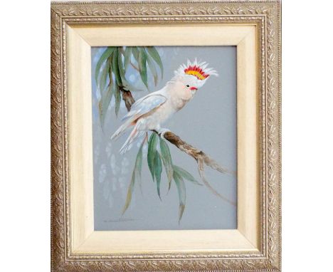 Gamini Ratnavira (20th century Sri-Lankan) - Study of a white cockatoo on a branch, acrylic on board, signed with label verso