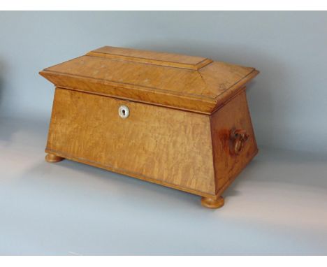 A good quality regency satin wood sarcophagus tea caddy with twin hoop handles, the hinged lid enclosing an interior fitted w