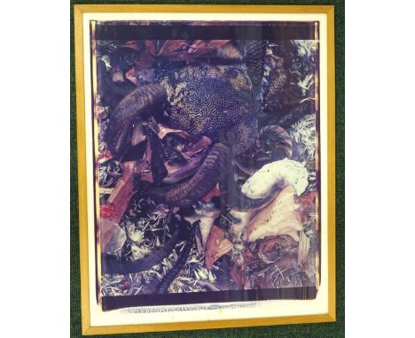 Frank Gillette (b.1941). Horn and shell composition, polaroid print, 75cm x 59cm. 