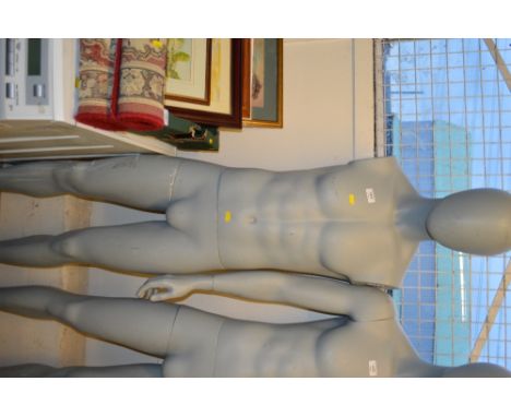 A male mannequin
