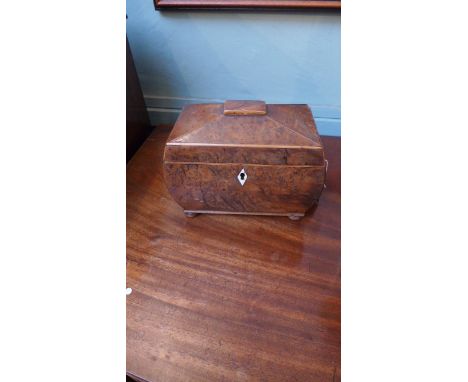 Burr walnut Georgian tea caddy on bun feet with lion mask brass handles and ivory escutcheon (some damage to lid)