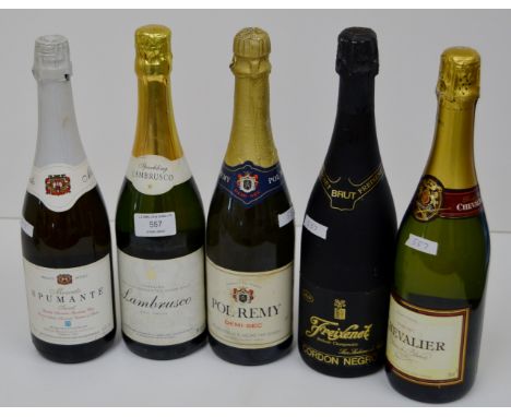 5 BOTTLES OF SPARKLING WINE VARIOUS     